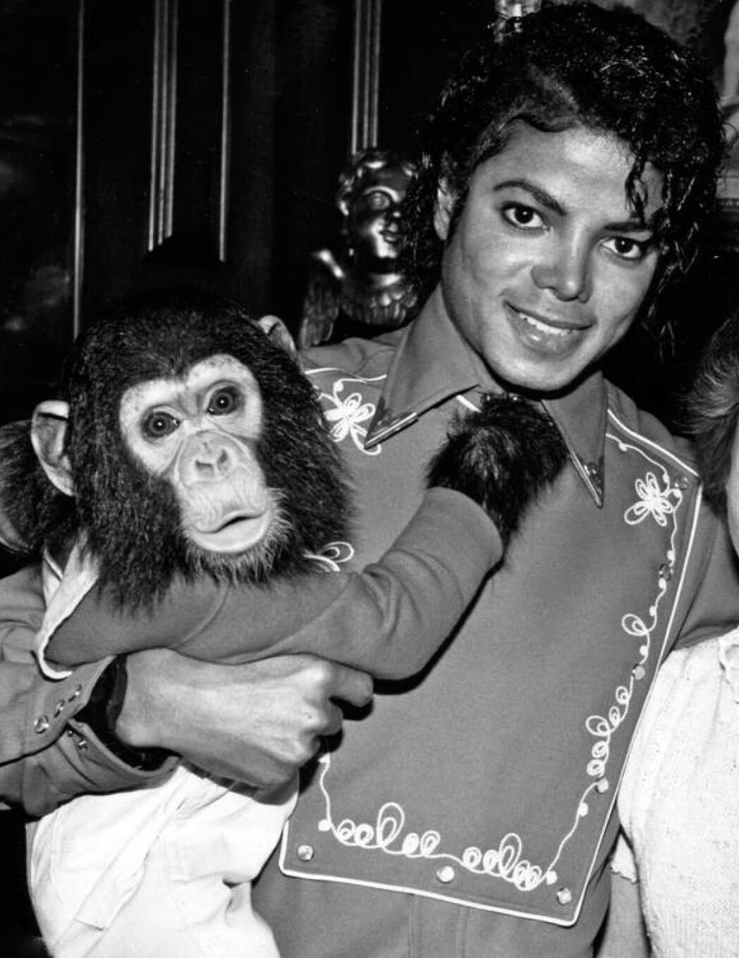 Michael Jackson's estate building with a large sign in front, surrounded by trees and clear blue sky.